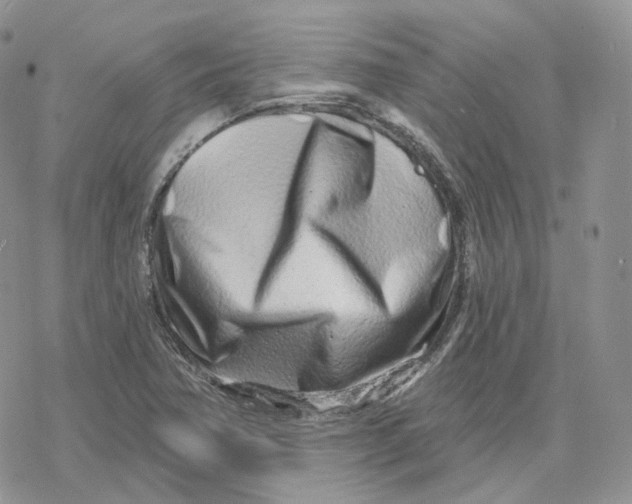 X0000078251362200611251253