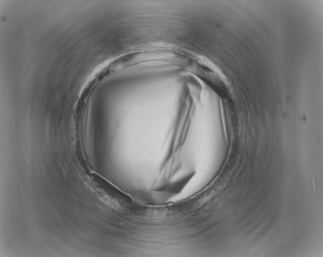 X0000078251364200611251253