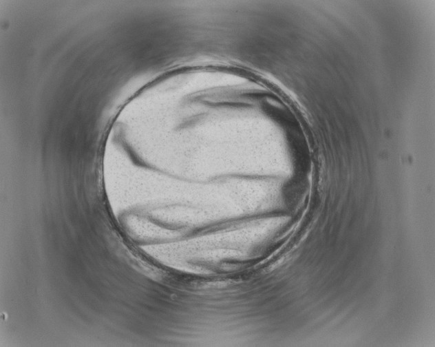 X0000078251367200611251253