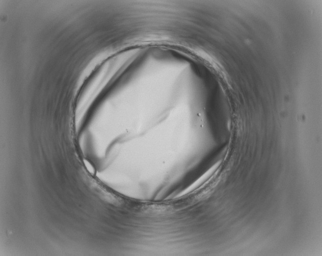 X0000078251374200611251253