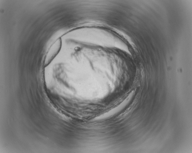 X0000078251375200611251253