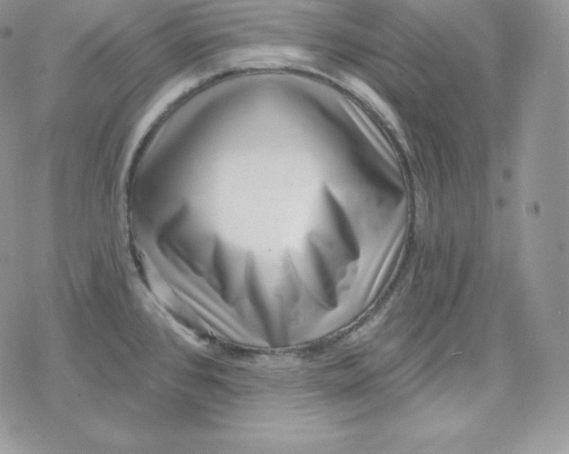 X0000078251384200611251253