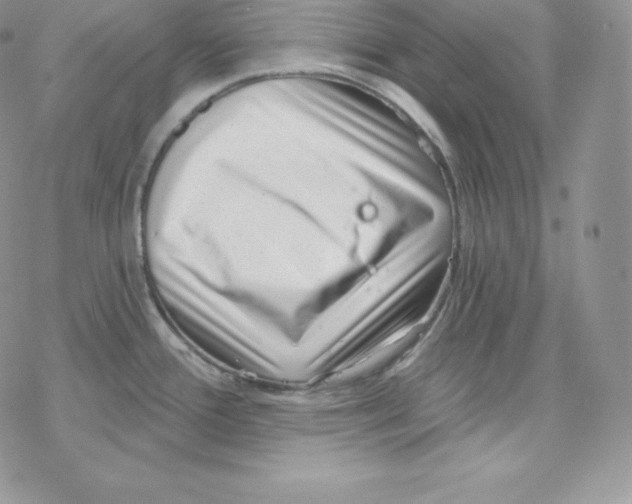 X0000078251388200611251253