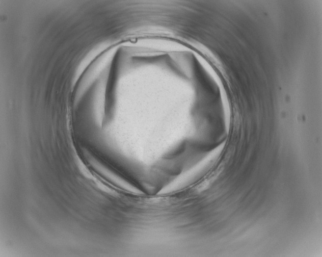 X0000078251390200611251253