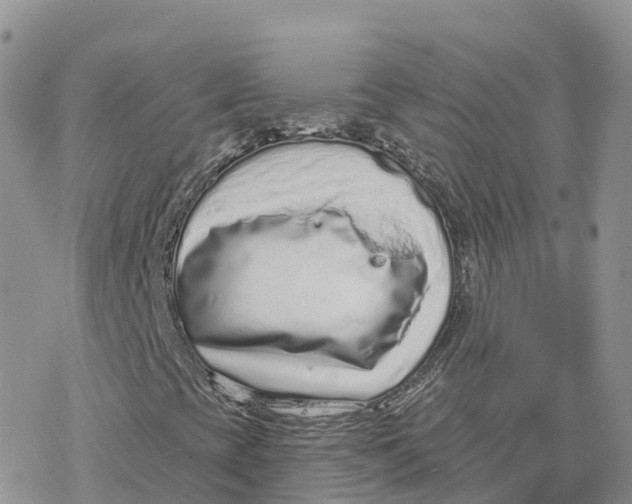 X0000078251393200611251252