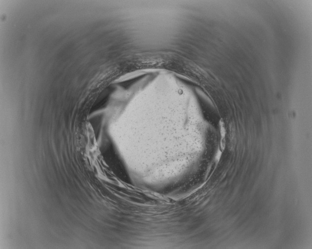 X0000078251394200611251252