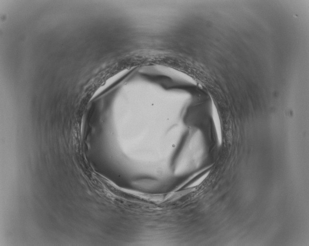 X0000078251397200611251252