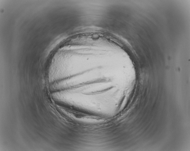 X0000078251407200611251252