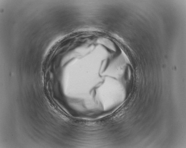 X0000078251408200611251252