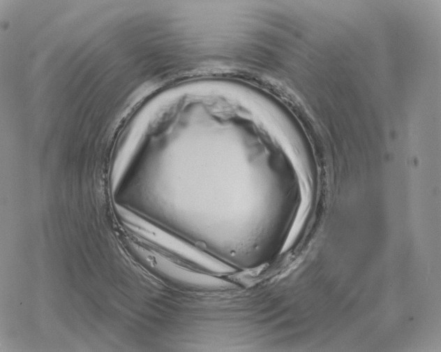 X0000078251409200611251252