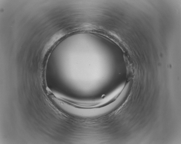 X0000078251410200611251252