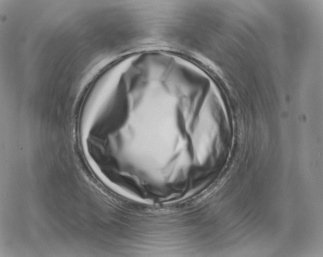 X0000078251415200611251252