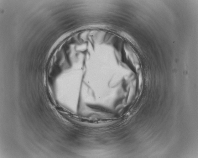 X0000078251420200611251252