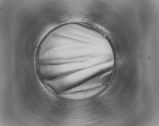X0000078251423200611251252