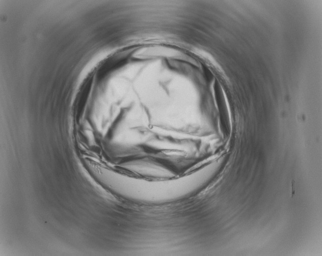 X0000078251424200611251252