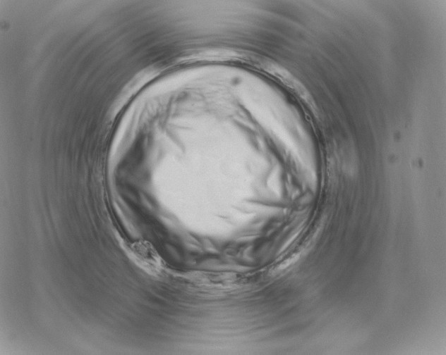 X0000078251425200611251252