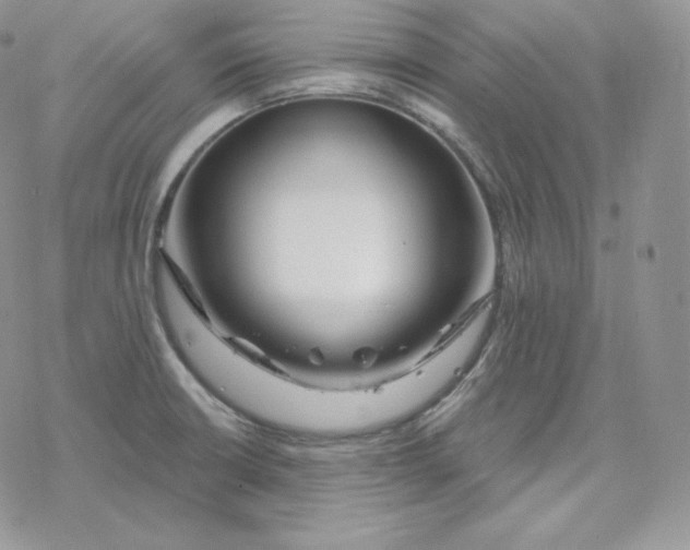 X0000078251426200611251252
