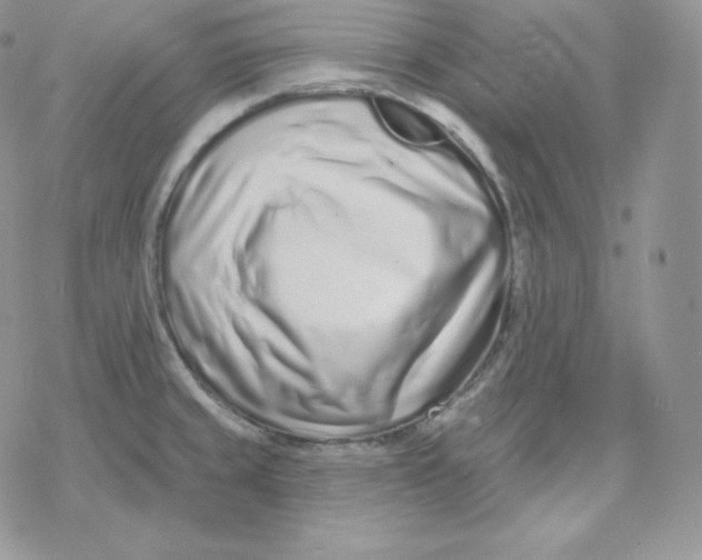 X0000078251429200611251252