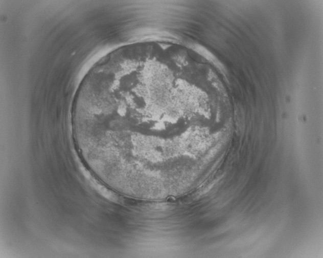 X0000078251431200611251252
