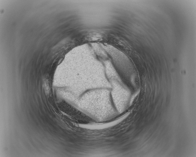 X0000078251442200611251252