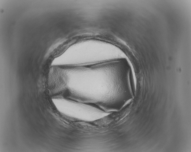 X0000078251448200611251252