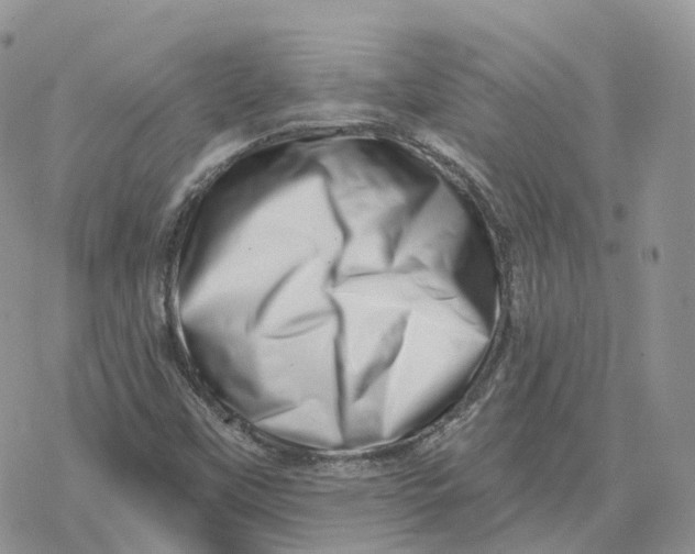 X0000078251451200611251252