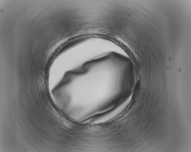 X0000078251452200611251252