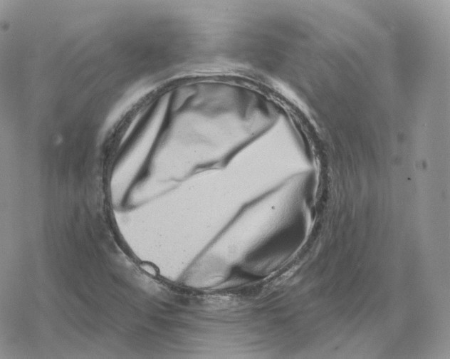 X0000078251456200611251252