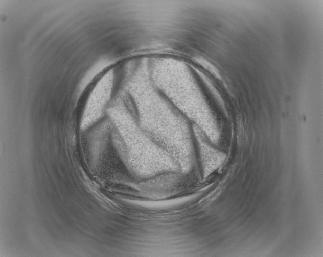 X0000078251458200611251252