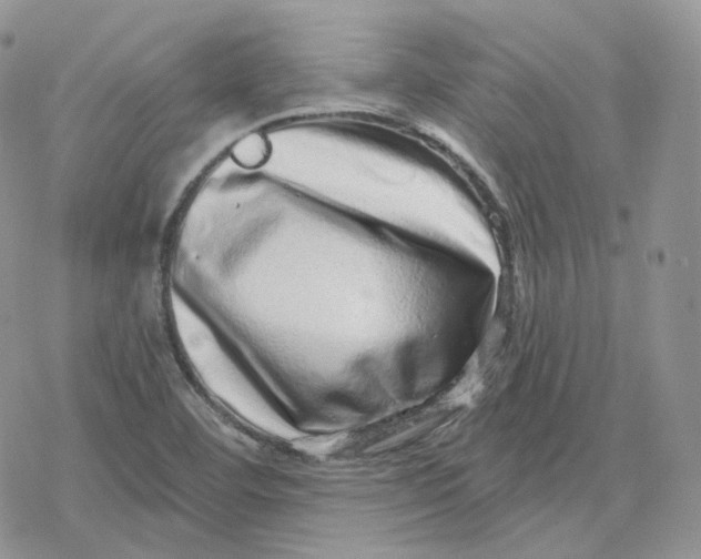 X0000078251460200611251251