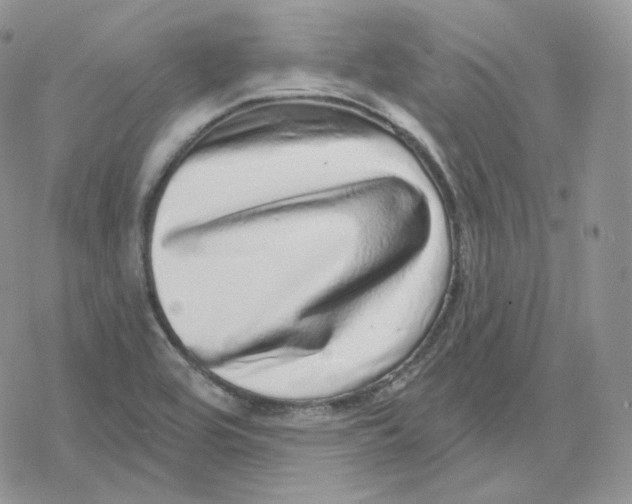 X0000078251464200611251251
