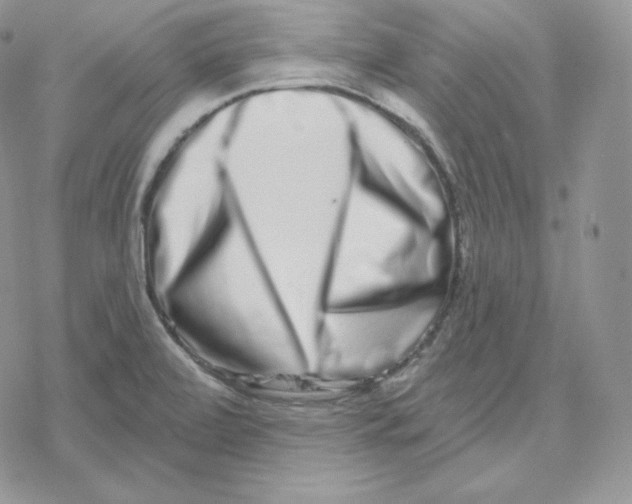 X0000078251472200611251251