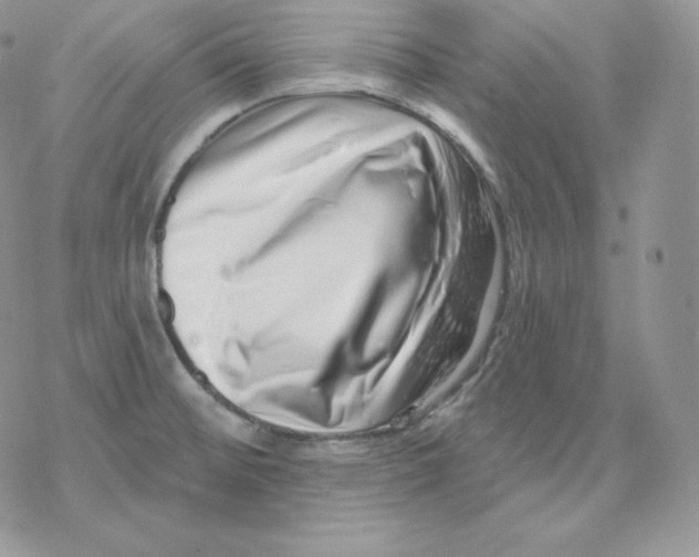 X0000078251476200611251251