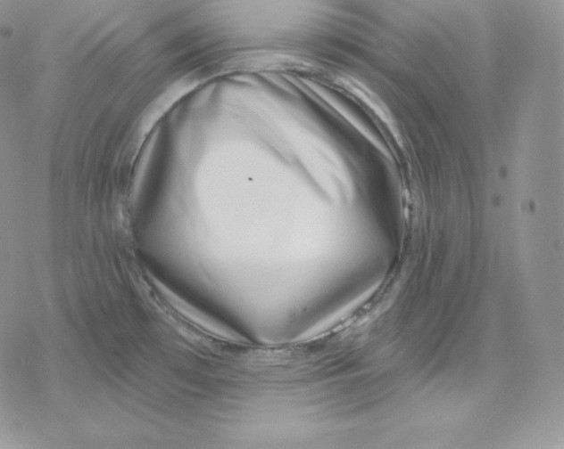 X0000078251481200611251251