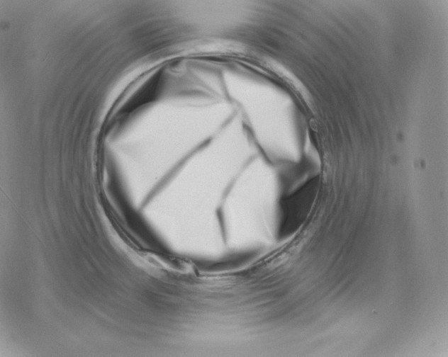 X0000078251483200611251251