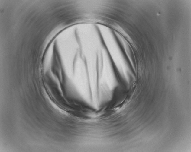 X0000078251484200611251251