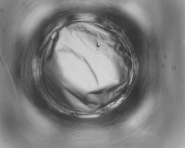 X0000078251487200611251251