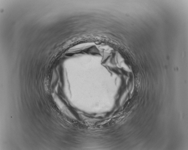 X0000078251490200611251250