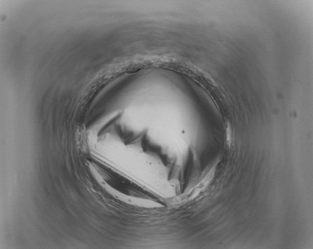X0000078251492200611251250