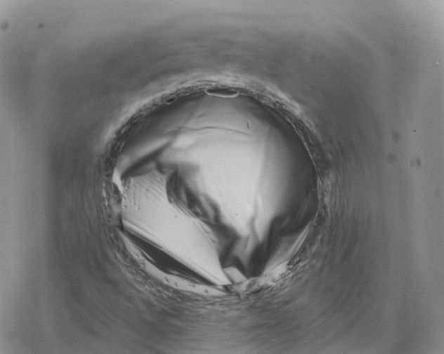 X0000078251496200611251250