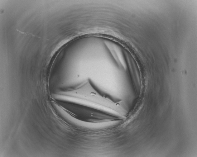 X0000078251505200611251251