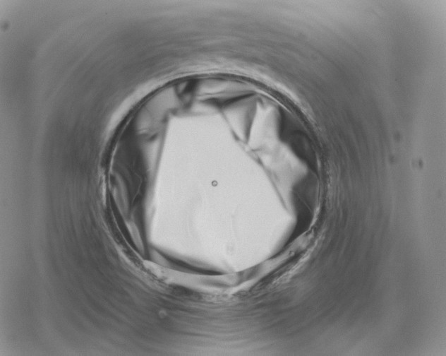 X0000078251509200611251251