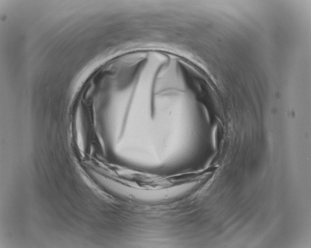 X0000078251511200611251251