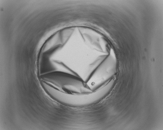 X0000078251512200611251251