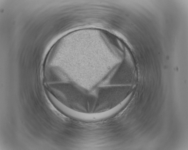 X0000078251516200611251251