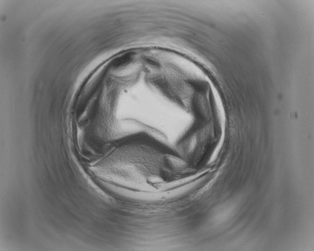 X0000078251517200611251251