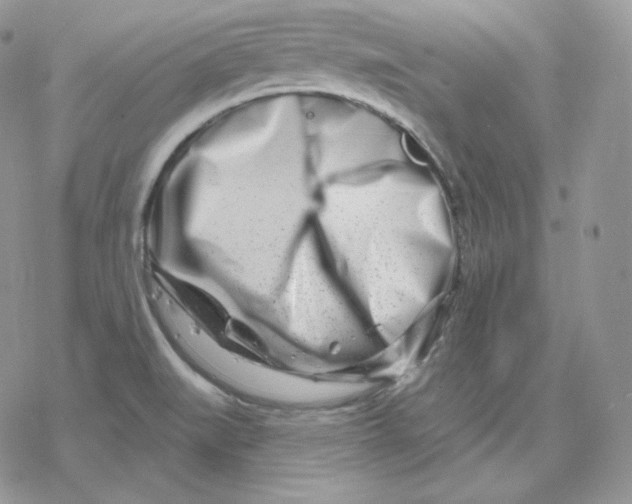 X0000078251519200611251251