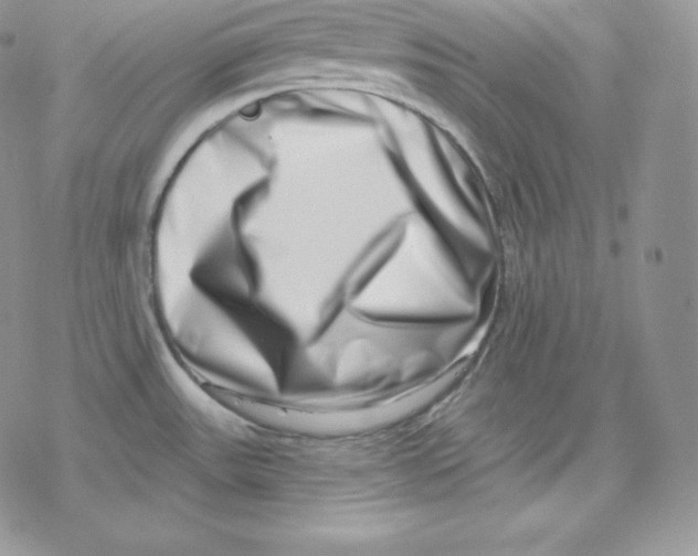 X0000078251531200611251251