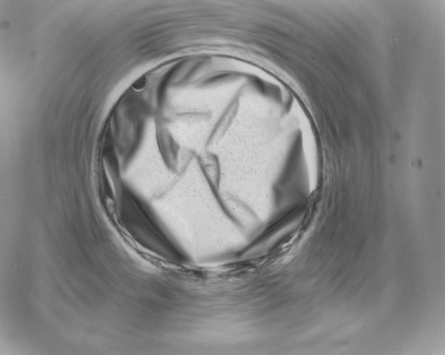 X0000078251533200611251251