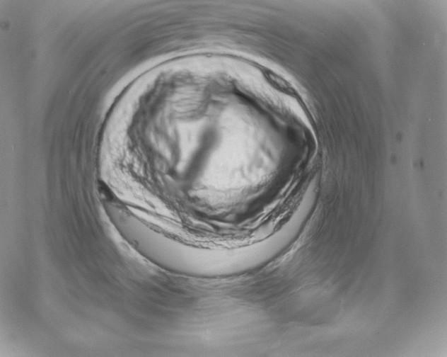 X0000078251534200611251251